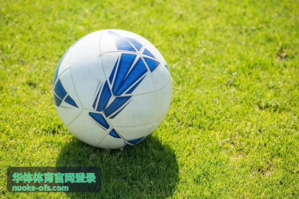 华体体育官网登录客户端账号登录界面示意